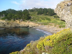 Headland Cove | Carmel